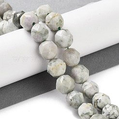 Natural Peace Jade Beads Strands&nbsp;G-NH0021-A08-02