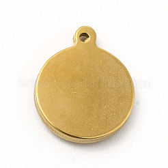 304 Stainless Steel Pendants&nbsp;STAS-M305-10G