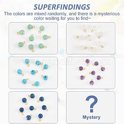 60Pcs Frosted Natural & Synthetic Gemstone Charms&nbsp;FIND-FH0004-55