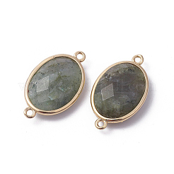 Golden Tone Brass Natural Labradorite Links connectors&nbsp;X-G-F339-A15