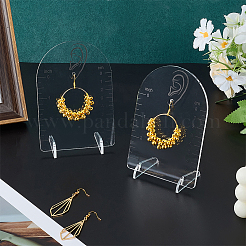 Arch Shaped Acrylic Slant Back Earring Display Stands with Scale&nbsp;EDIS-FG0001-74