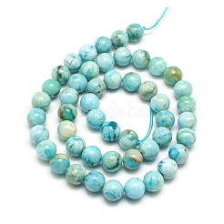 Natural Gemstone Hemimorphite Round Beads Strands&nbsp;G-L145-8mm-01