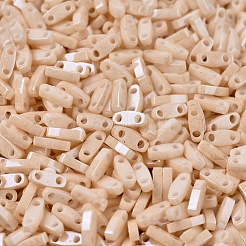 MIYUKI Quarter TILA Beads&nbsp;SEED-JP0008-QTL0593