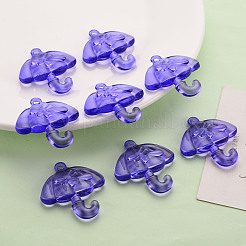 Transparent Acrylic Pendants&nbsp;TACR-T024-01B-936