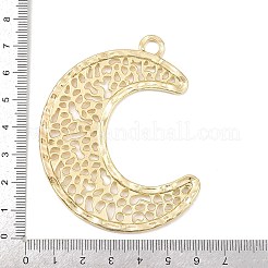 Alloy Big Pendants&nbsp;X1-PALLOY-P315-02G