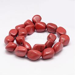 Natural Red Jasper Bead Strands&nbsp;G-K153-D25