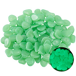 1 Set Resin Luminous Glow in the Dark Pebbles Stone&nbsp;DJEW-CN0001-40D