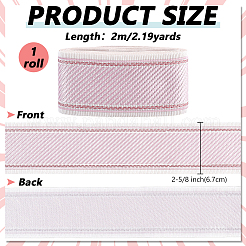 Polyester Ribbon&nbsp;OCOR-WH0101-236B