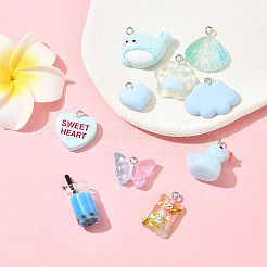 1 Bag Resin Pendants&nbsp;RESI-FS0002-22