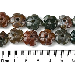 Natural Indian Agate Beads Strands&nbsp;G-H023-B06-01