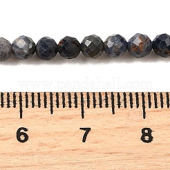 Natural Sapphire Beads Strands&nbsp;G-G259-D06-4mm