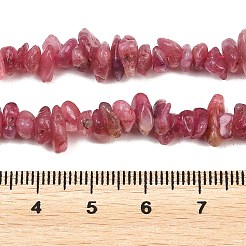 Natural Red Tourmaline Beads Strands&nbsp;G-P332-67A