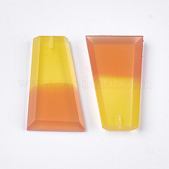 Resin Beads&nbsp;CRES-T014-17E