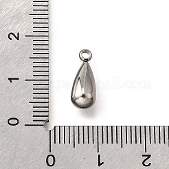 304 Stainless Steel Charms&nbsp;STAS-C122-07P