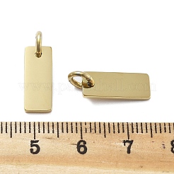 Geometric Figure Style 304 Stainless Steel Stamping Blank Tag Charms&nbsp;STAS-D302-03A