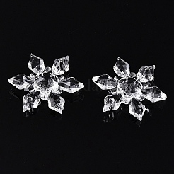 Transparent Acrylic Connector Charms&nbsp;TACR-T028-03B