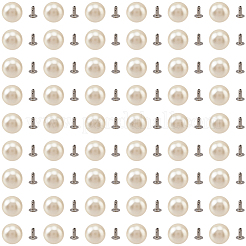 180Pcs ABS Plastic Imitation Pearl Rivet Studs&nbsp;KY-CL0001-02C