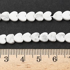 Natural Howlite Beads Strands&nbsp;G-A272-A01-08