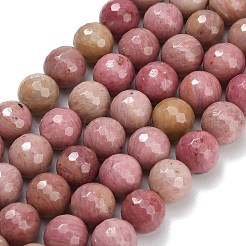 Natural Rhodonite Beads Strands&nbsp;G-C280-B19-10mm