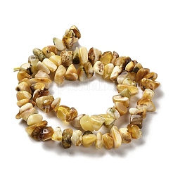 Natural Amber Beads Strands&nbsp;G-L095-N01-02
