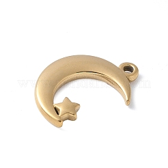 304 Stainless Steel Pendants&nbsp;STAS-E548-03G