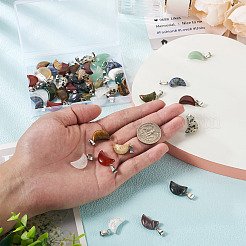 48Pcs 12 Styles Natural Gemstone Pendants&nbsp;G-FW0001-30