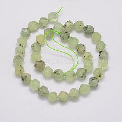 Natural Prehnite Bead Strands&nbsp;G-G970-06-10mm