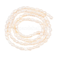 Natural Cultured Freshwater Pearl Beads Strands&nbsp;PEAR-D003-01D-01