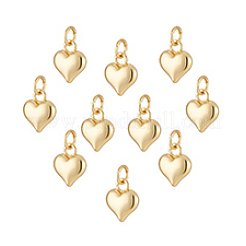 10Pcs Rack Plating Brass Pendants&nbsp;KK-PH0013-16