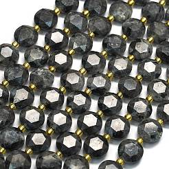 Natural Larvikite Beads Strands&nbsp;G-C116-A155-01