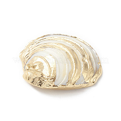 Natural Sea Shell Pendants&nbsp;X-SHEL-F005-06LG