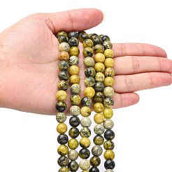 Natural Yellow Turquoise(Jasper) Beads Strands&nbsp;GSR007