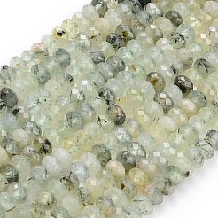 Natural Prehnite Beads Strands&nbsp;G-C280-A03-01