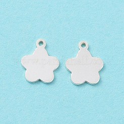 925 Sterling Silver Charms&nbsp;STER-F053-13S