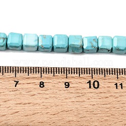 Natural Howlite Bead Strands&nbsp;G-H345-C01-01