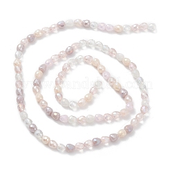 Gradient Color Electroplate Glass Bead Strands&nbsp;GLAA-E042-04A