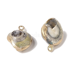 Natural Conch Pendant&nbsp;BSHE-H018-11G