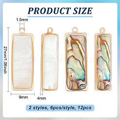 12Pcs 2 Styles Natural Paua Shell/Abalone Shell Pendants&nbsp;FIND-BC0013-35