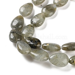 Natural Labradorite Beads Strands&nbsp;G-K357-A14-01