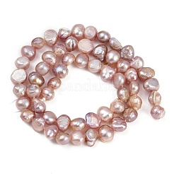 Natural Cultured Freshwater Pearl Beads Strands&nbsp;PEAR-P064-19H-01M