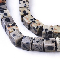 Natural Dalmatian Jasper Beads Strands&nbsp;G-D0020-14