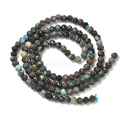 Natural African Turquoise(Jasper) Beads Strands&nbsp;G-RM241221-B9