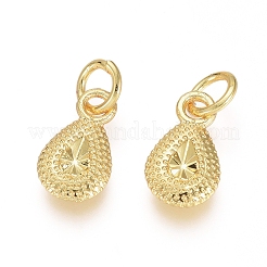 Electroplated Alloy Charms&nbsp;PALLOY-G267-15G