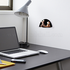 Acrylic Wall-Mounted Adhesive Camera Display Shelf with Iron Screw&nbsp;ODIS-WH0002-87A