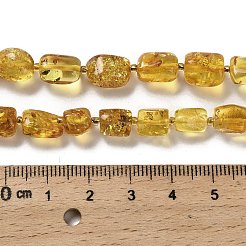 Natural Amber Beads Strands&nbsp;G-L095-F01-01