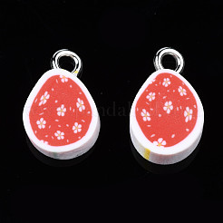 Handmade Polymer Clay Charms&nbsp;CLAY-S096-027