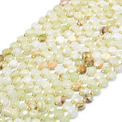 Natural Green Banded Calcite(Afghan Jade) Beads Strands&nbsp;G-C116-A53-02
