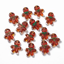 Handmade Lampwork Beads Strands&nbsp;LAMP-N021-025