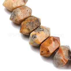 Natural Crazy Agate Double Terminated Point Beads Strands&nbsp;G-T142-90
