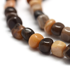 Natural Petrified Wood Beads Strands&nbsp;G-F465-20B